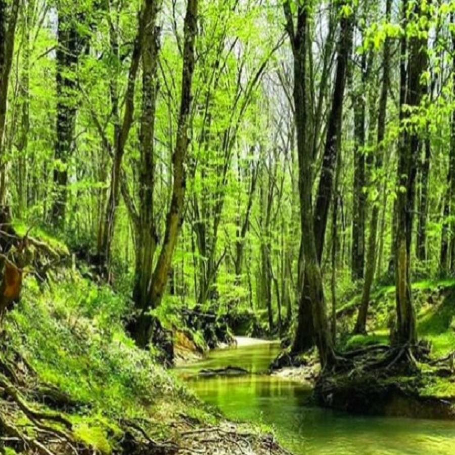 GÜNÜBİRLİK ADAPAZARI-KARASU-ACARLAR LANGOZU-SAPANCA GÖLÜ TURU-K006